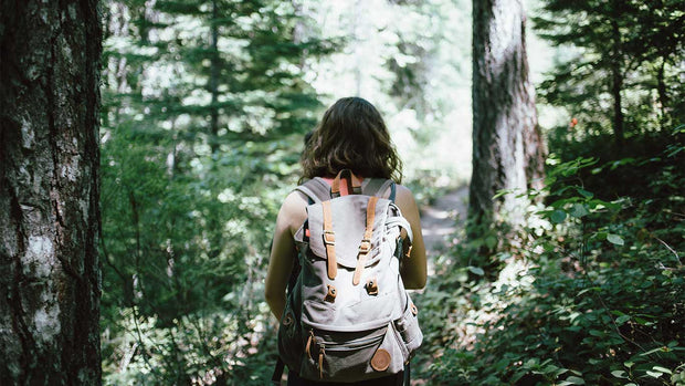 Scenic Hike Routes Brighton