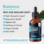 Mullein Leaf Liquid Drops | 60ml
