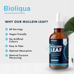 Mullein Leaf Liquid Drops | 60ml