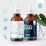 Mullein Leaf Liquid Drops | 60ml